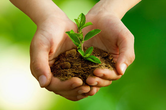 5 Práticas sustentáveis que todo pecuarista deve adotar