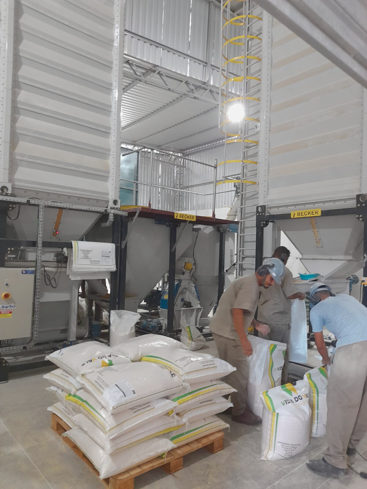 Rações para gado de corte no Sul da Bahia