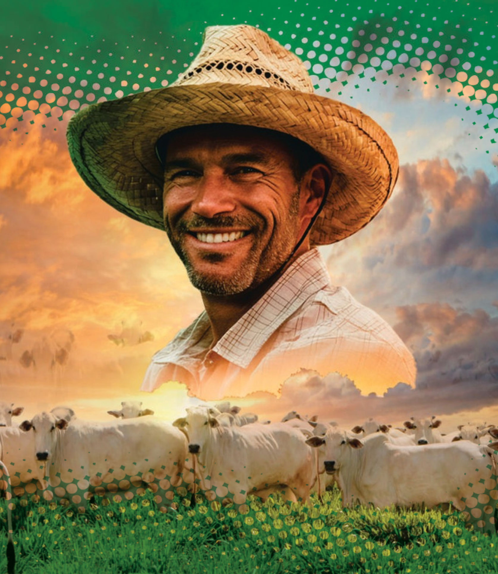 Rações Bovinas no Sul da Bahia
